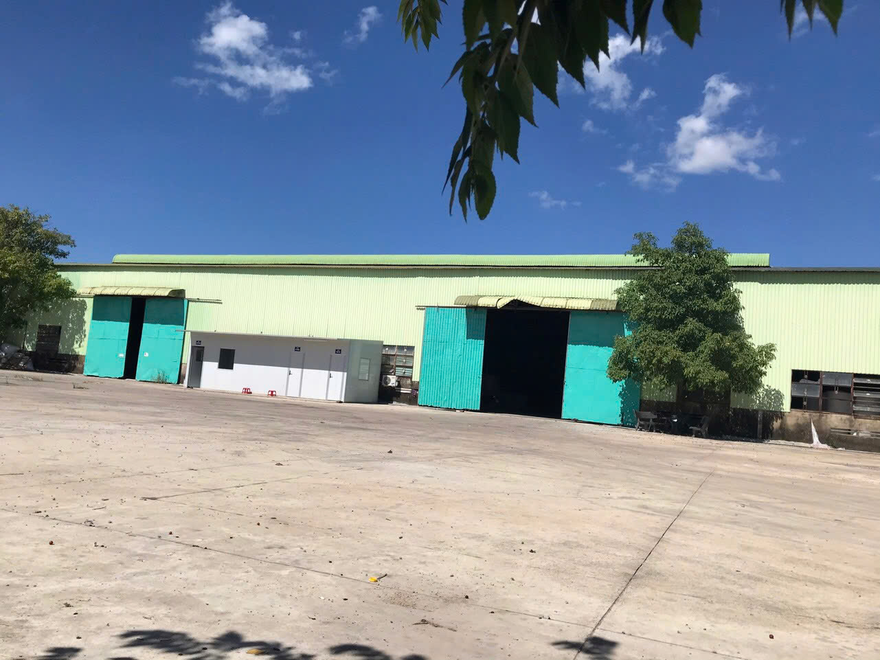 Mang-Xop-Hoi-Tai-Binh-Dinh