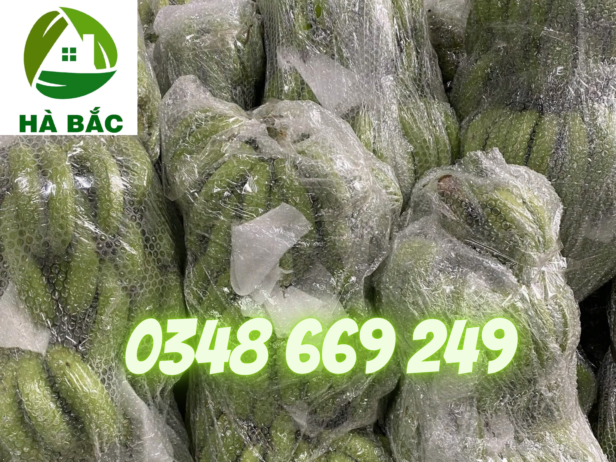 Xop-hoi-boc-hang-gia-re-so-1-Binh-Dinh