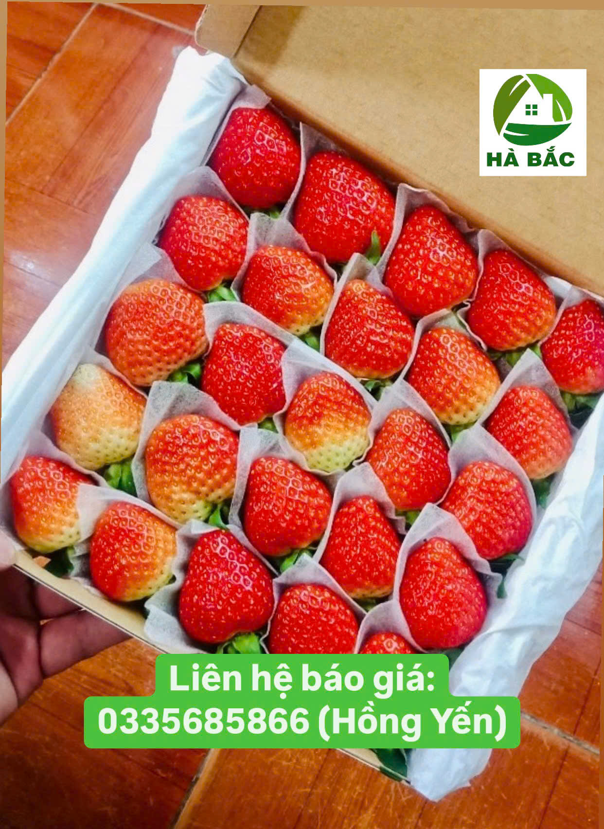 Màng xốp PE Foam 0.5 ly giá rẻ số 1 tại Bình Dương