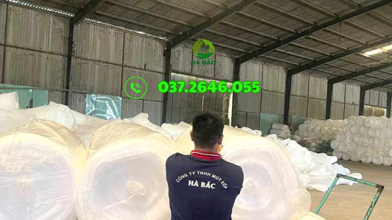 NĂM 2025 MUA MÀNG FOAM MÚT XỐP TẠI BÌNH ĐỊNH