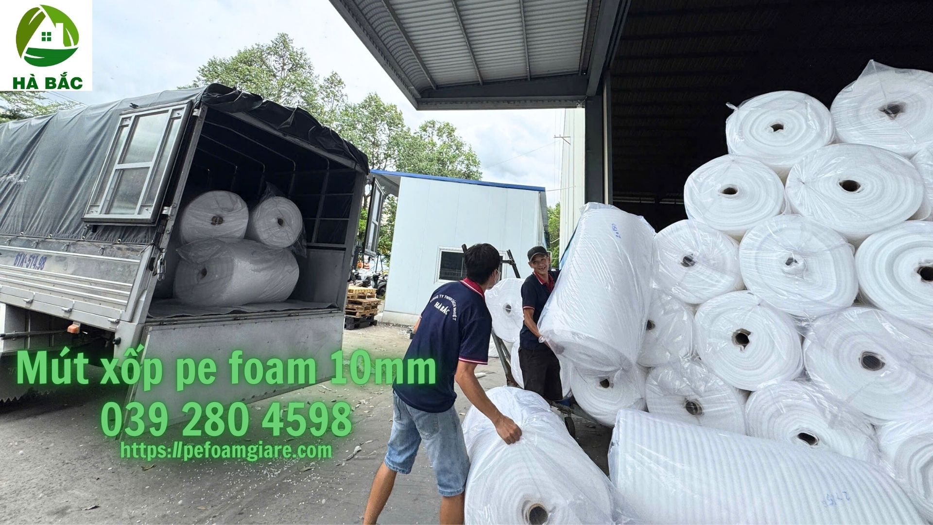 mut-xop-pe-foam-10mm