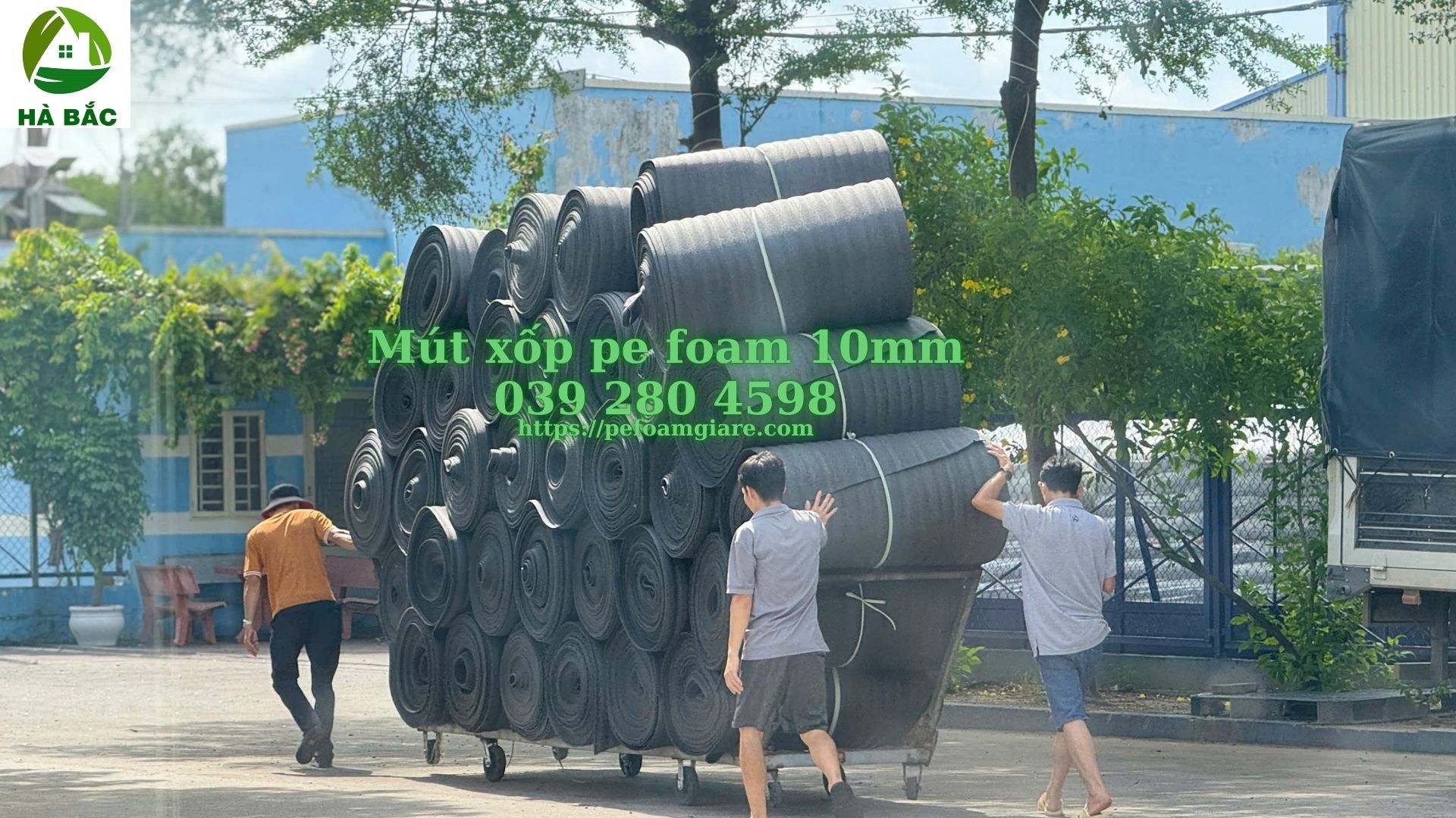 mut-xop-pe-foam-10mm