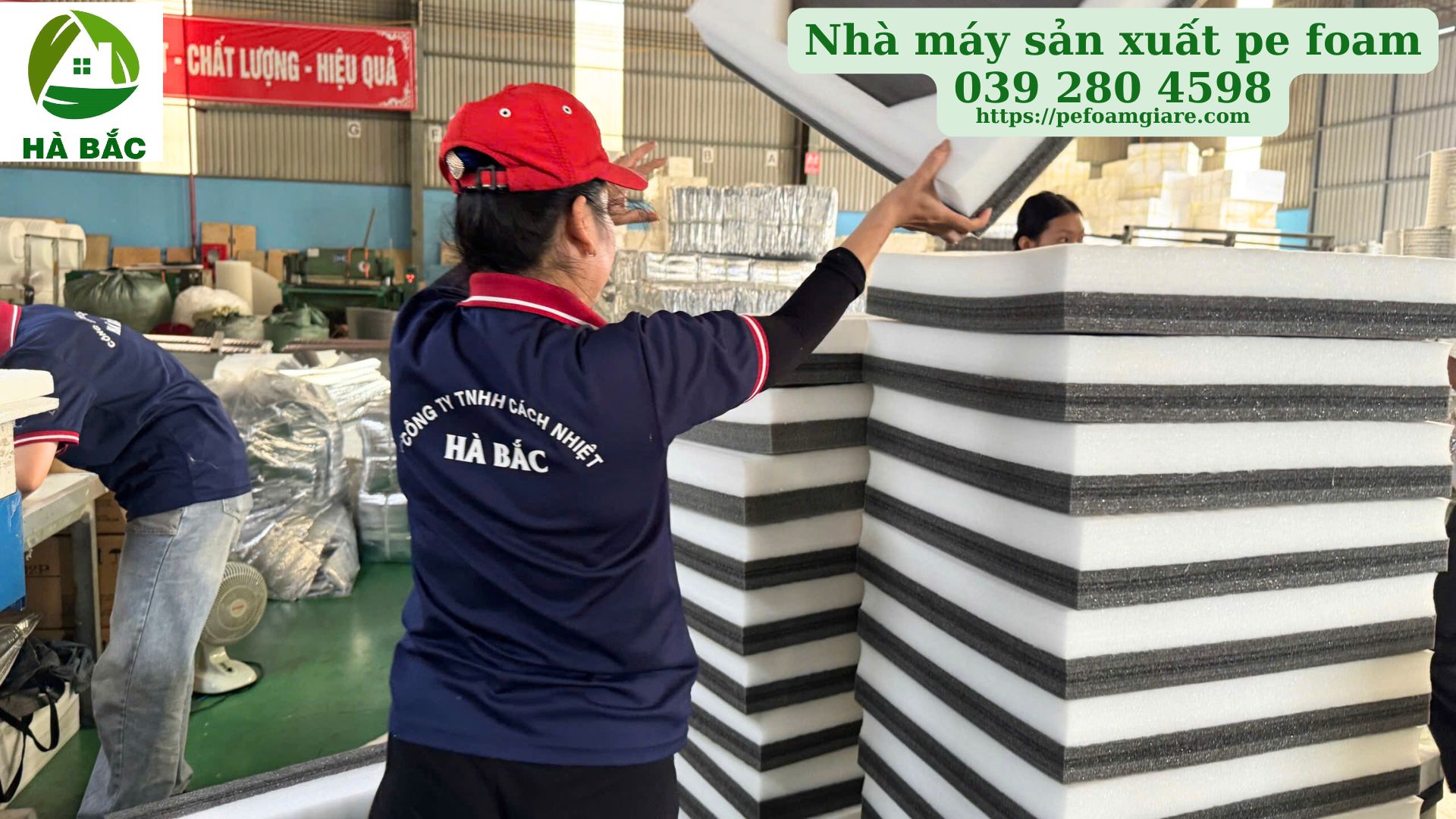 mut-xop-pe-foam-10mm