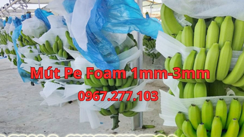 MÚT PE FOAM 1mm-3mm, GIÁ RẺ DÀNH CHO NGÀNH CHUỐI XUẤT KHẨU