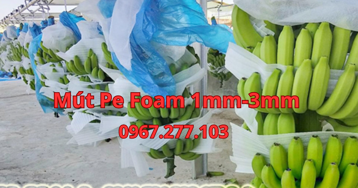 MÚT PE FOAM 1mm-3mm, GIÁ RẺ DÀNH CHO NGÀNH CHUỐI XUẤT KHẨU