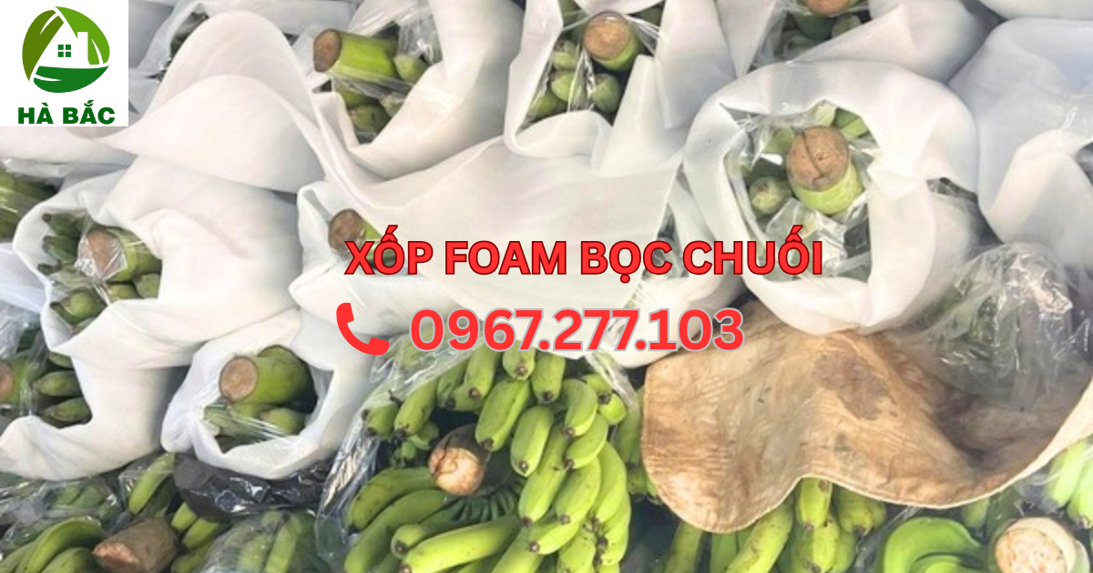 Mút PE Foam 1mm-3mm giá rẻ cho ngành chuối xuất khẩu