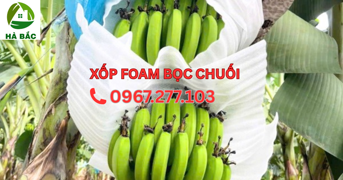 Mút PE Foam 1mm-3mm giá rẻ cho ngành chuối xuất khẩu