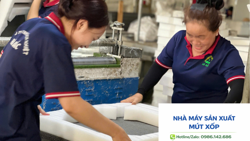 Xốp Định Hình Đóng Gói – Gia Công Theo Khuôn, Sản Xuất 3 Miền