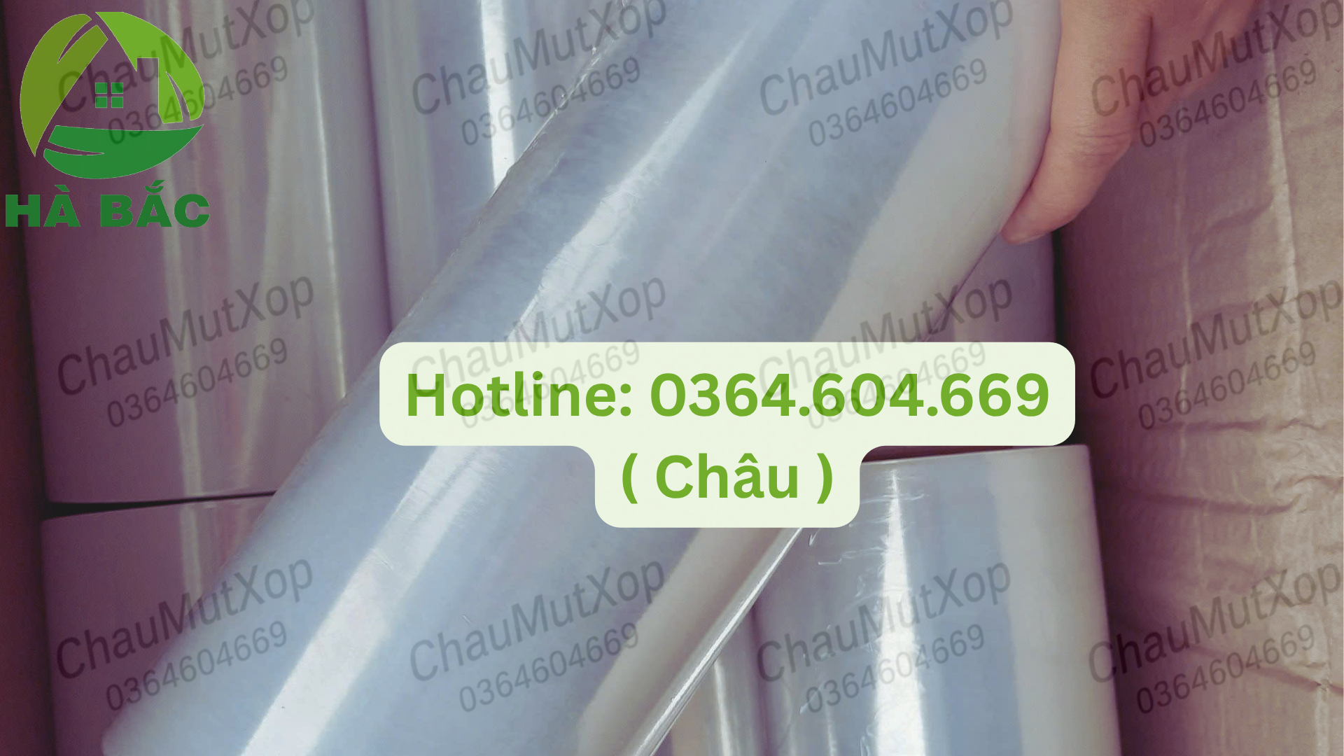 nhà máy sản xuất cuộn màng co tại Bình Định