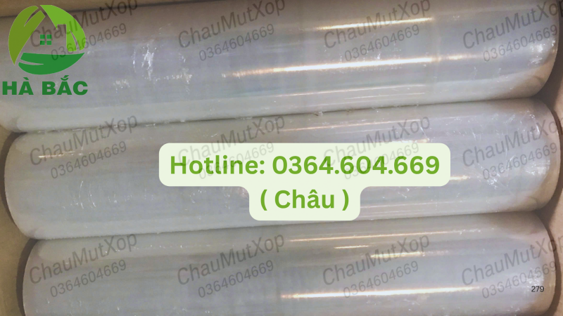 CUỘN MÀNG CO QUẤN HÀNG, GIẢI PHÁP ĐÓNG GÓI TOÀN DIỆN CHO DOANH NGHIỆP MIỀN TRUNG