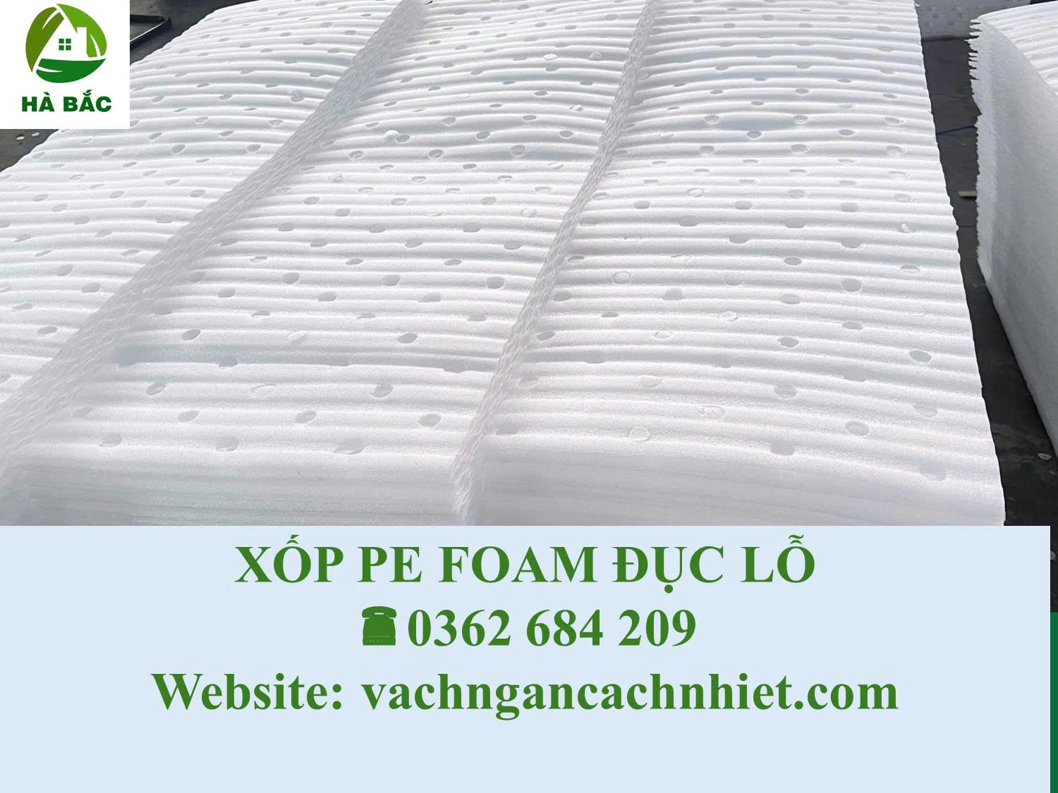 Màng Foam PE đục lỗ