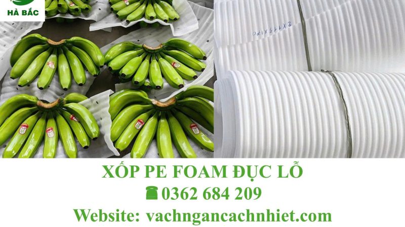 Mua xốp Foam PE đục lỗ giá tốt! Có hàng sẵn, giao