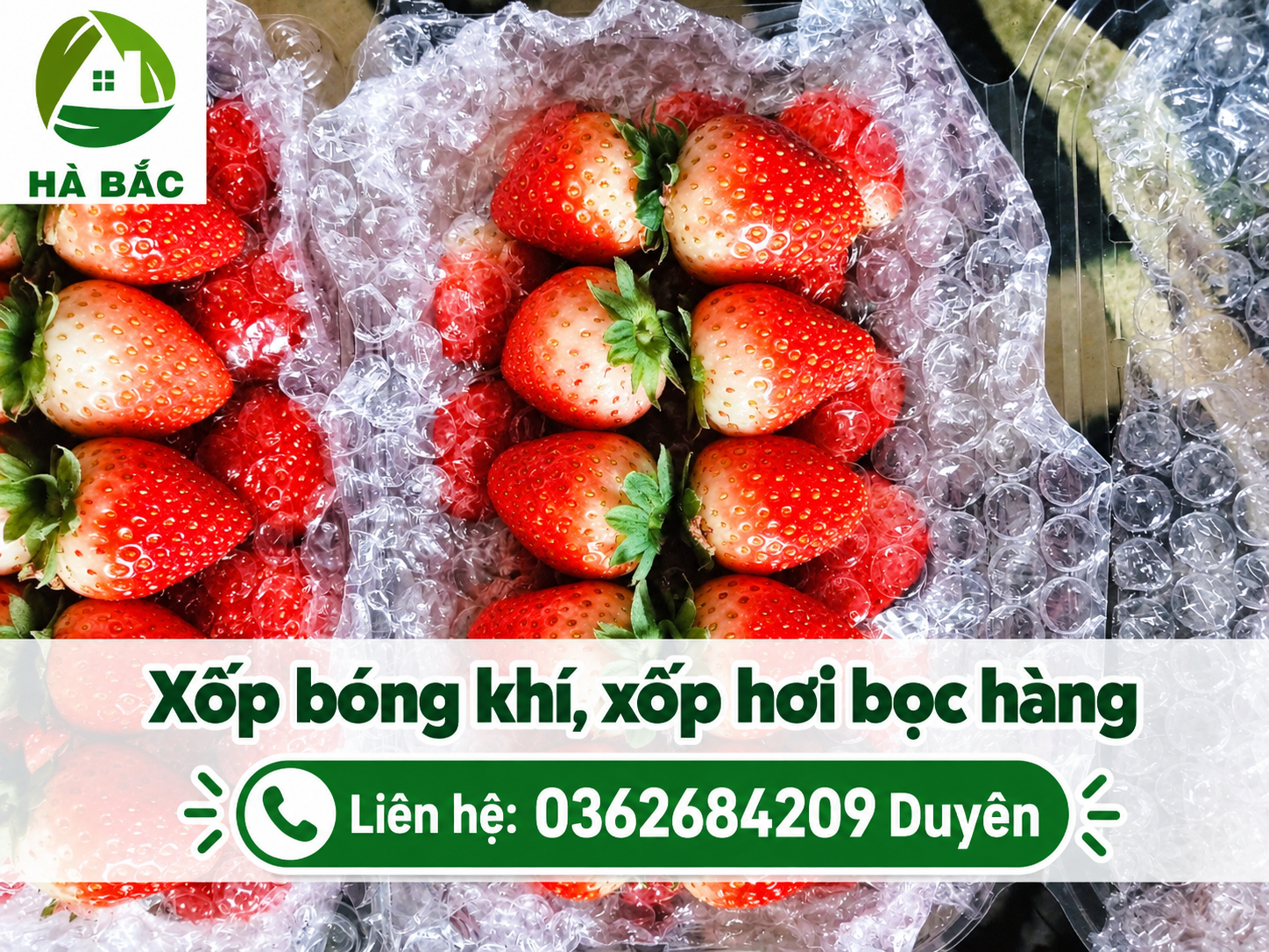 Xốp hơi