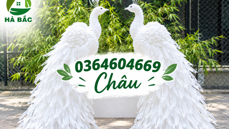Tấm Foam Làm Phụng – Dễ Cắt, Dễ Tạo Hình, Phù Hợp Làm Cốt Phụng