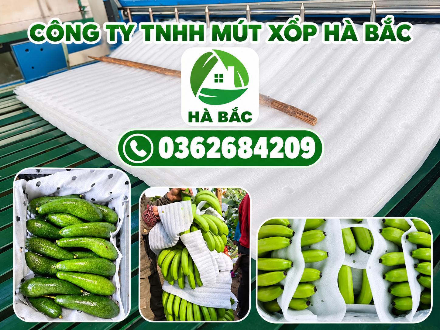 Màng Foam PE đục lỗ cho trái cây – Giải pháp bảo vệ nông sản khi vận chuyển