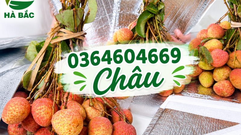 Túi bạc cách nhiệt đóng hàng đi xa – Giải pháp bảo vệ hàng hóa hiệu quả