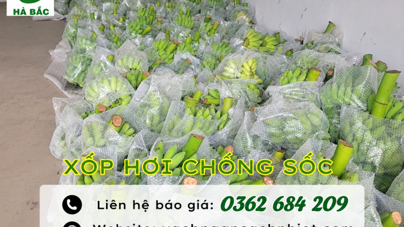 Xốp nổ đóng hàng – Bảo vệ sản phẩm an toàn khi giao hàn
