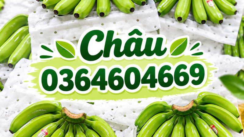 Tấm xốp đục lỗ lót trái cây xuất khẩu – Giải pháp bảo vệ trái cây hiệu quả