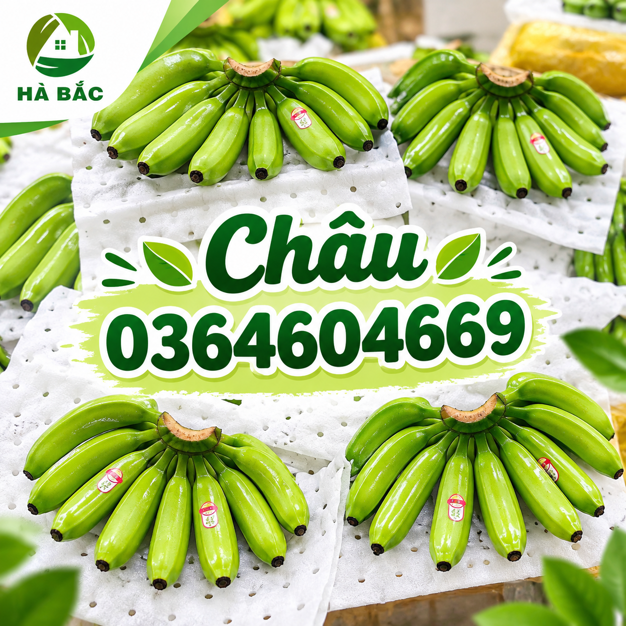 Tấm xốp đục lỗ lót trái cây xuất khẩu – Giải pháp bảo vệ trái cây hiệu quả