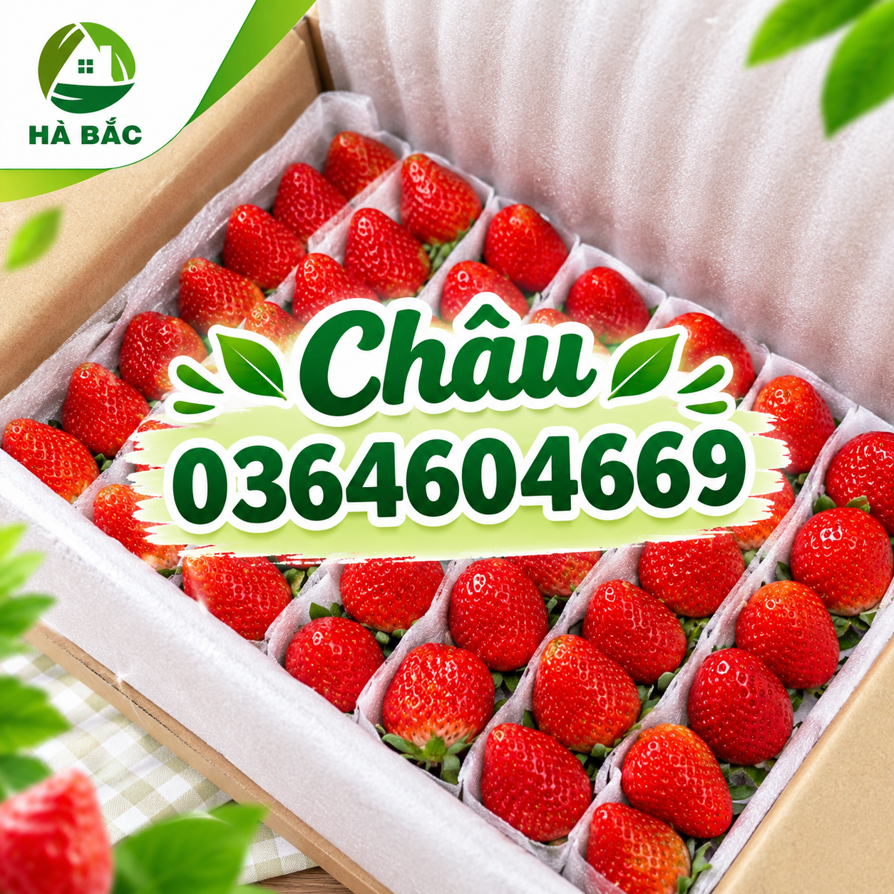 Tấm xốp đục lỗ lót trái cây xuất khẩu giá rẻ