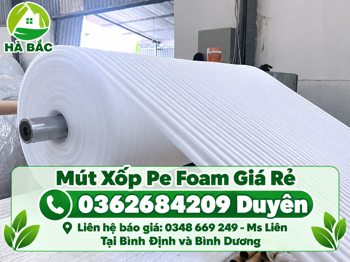 Màng PE Foam