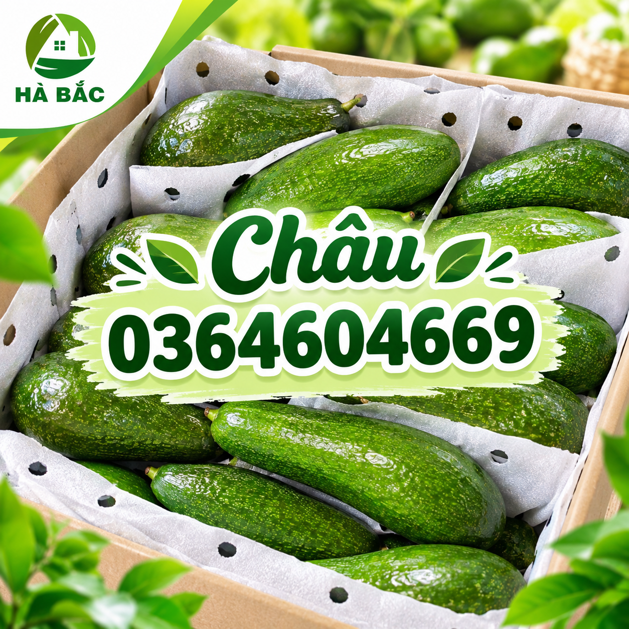 Công ty TNHH mút xốp Hà Bắc