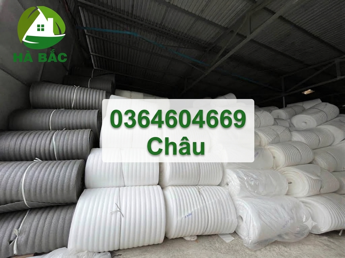 Màng foam giá rẻ tại Hà Bắc