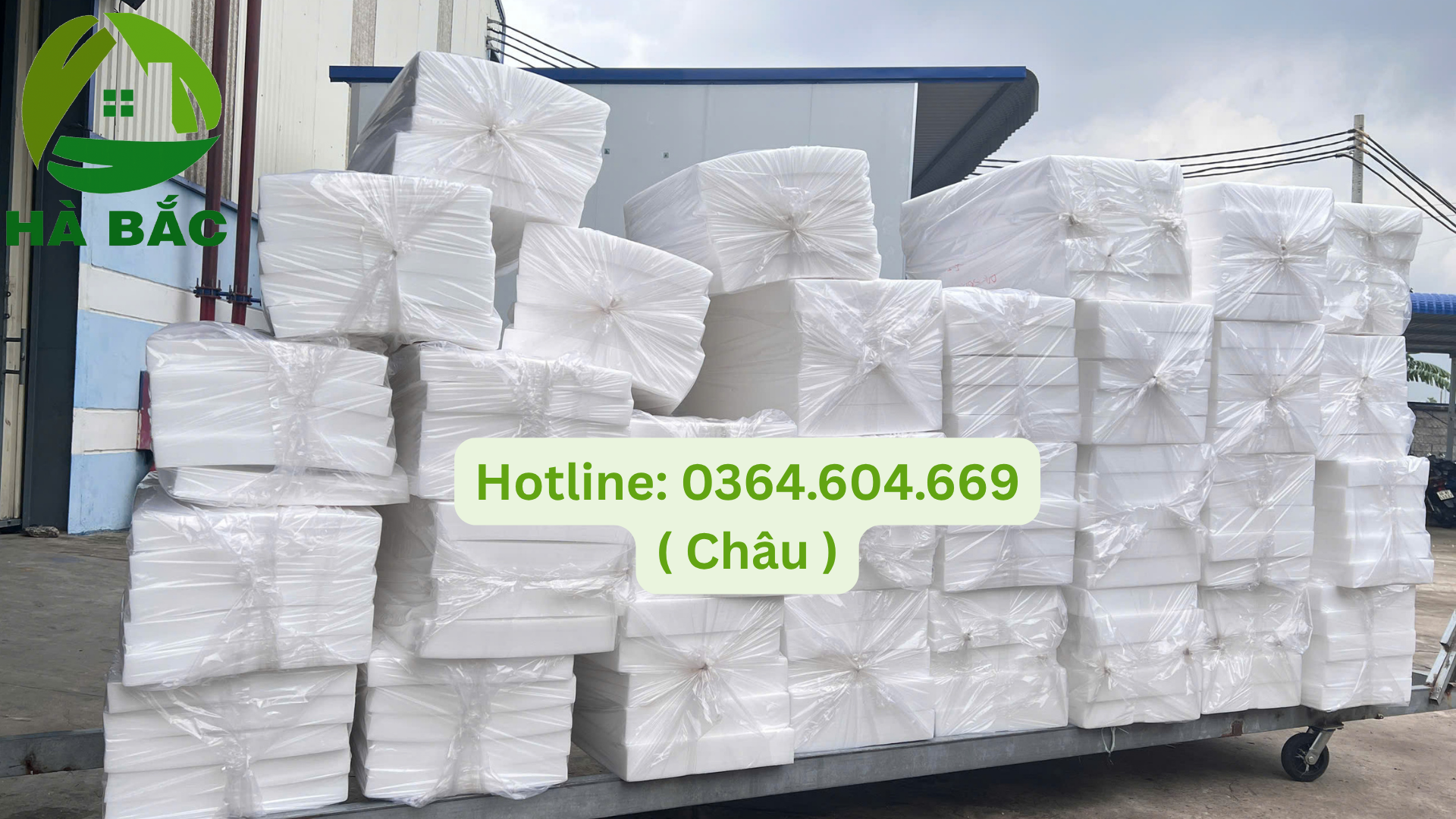 Nhà máy sản xuất mút xốp dẻo làm hoa 