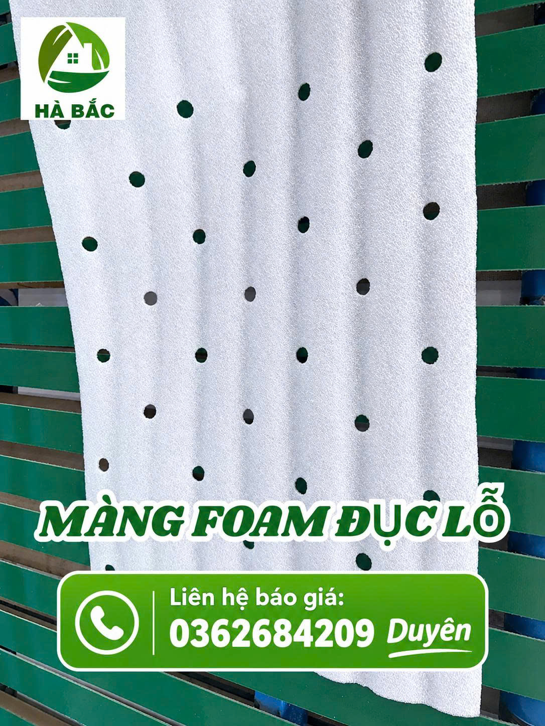 Màng foam PE đục lỗ