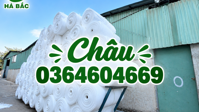 Địa chỉ mua Foam giá rẻ – Màng Foam đóng gói chất lượng, sẵn kho
