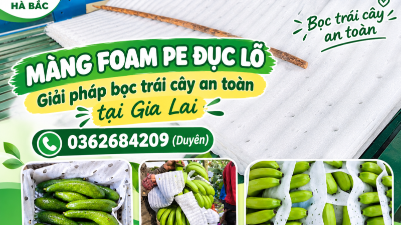 Màng Foam PE đục lỗ – Giải pháp bọc trái cây an toàn tại Gia Lai