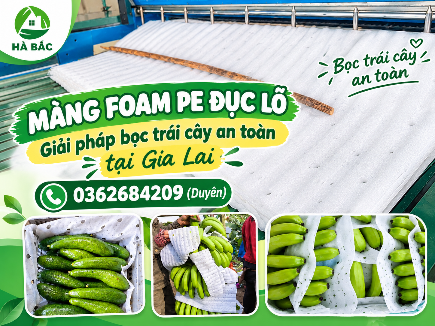 Màng Foam PE đục lỗ – Giải pháp bọc trái cây an toàn tại Gia Lai