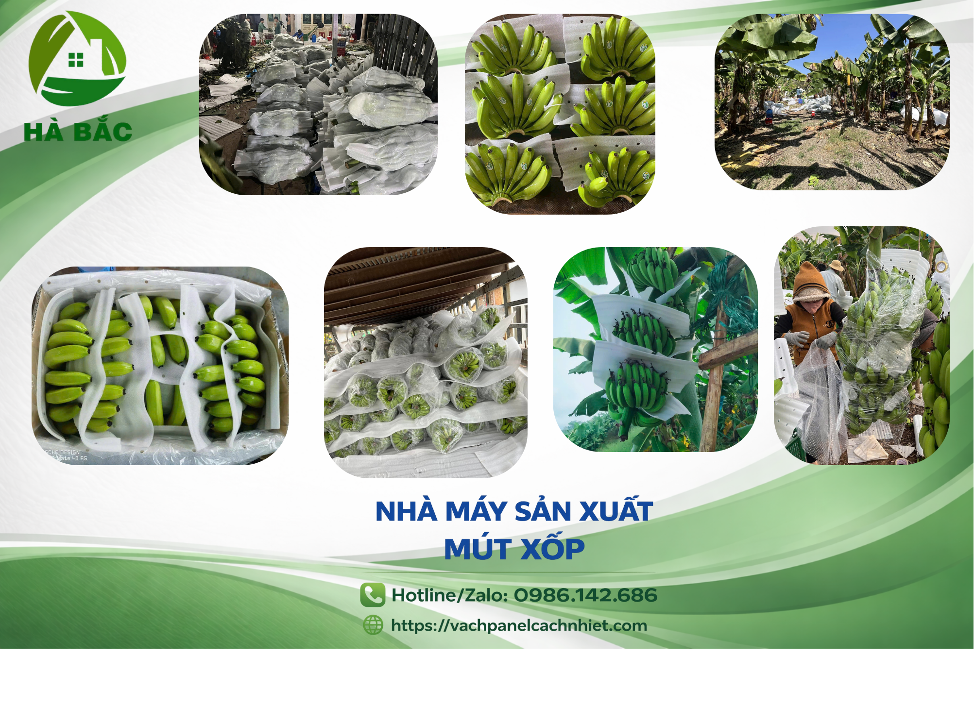 Xốp Lót Chuối Chất Lượng, Đủ Độ Dày từ 0.5mm – Giá Tại Xưởng