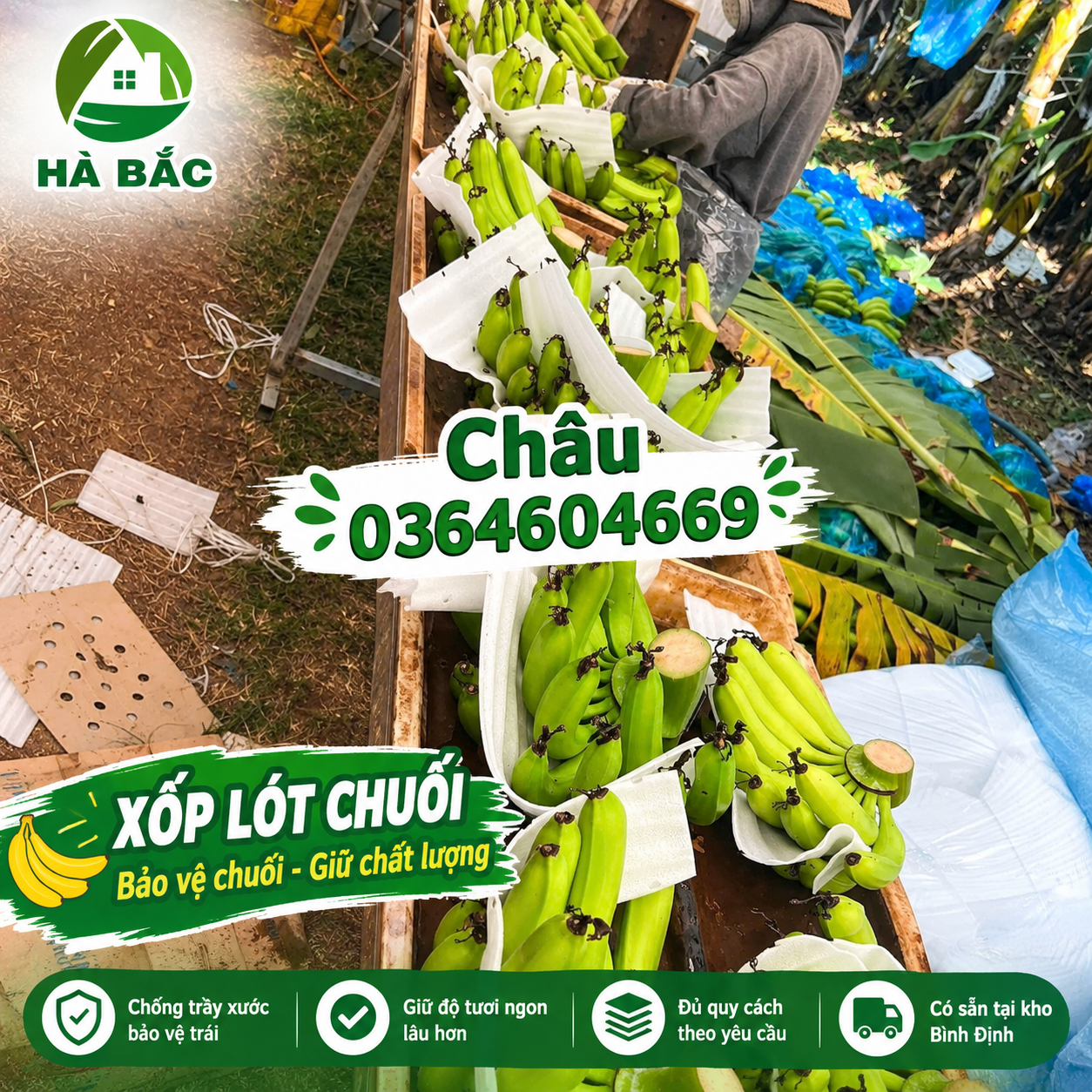 Xốp lót chuối theo yêu cầu – Giải pháp bảo vệ nông sản khi đóng gói và vận chuyển